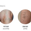 김병준 레다스 흉부외과의원 이미지