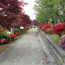 우산리산장 네이버블로그