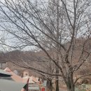 천문대오토캠핑장 이미지