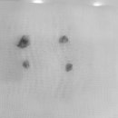 동주동물병원 이미지