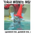 학성사 이미지