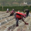 구현농장 이미지