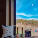 용산559 이미지