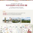 연산청과