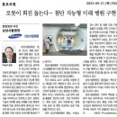 삼성회진
