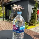 힐링펜션 | 용인 단체 펜션 용인 힐링 펜션 후기
