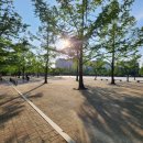 일중로15번길 이미지