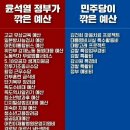 윤석열 정부가 깍은 예산 삭감, / 민주당이 깍은 예산 삭감, 이미지