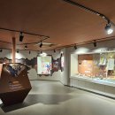 평창 백룡동굴 | 평창백룡동굴탐방센터설치