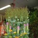 성전2호 이미지