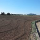 바다마을 펜션 호스텔 이미지