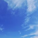 9/12(금). 대청호5백리길중 4구간 호반낭만길(대전역~대청호까지 왕복 차량 무상지원) 16명으로 마감합니다 이미지