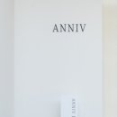 애니브