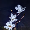 레인기타학원 이미지