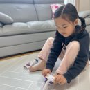 진화원 이미지