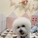 문정미용타운