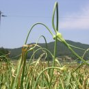 남해는, 지금 이미지