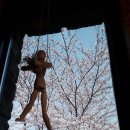 완도LOWA 이미지