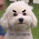 정신