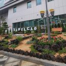 고운동 주민센터 북측 이미지