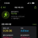 0526-0601 : 크로스핏 2일 간 크린이의 운동 일기 (+2025 지구런 후기)