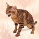 비뇨기 질환 이미지