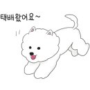 닥터밀로 이미지