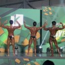 PRO-K 스포츠 네이버블로그