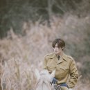 진의함 카카오 검색결과