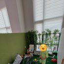 큐리프리미엄키즈카페 이미지