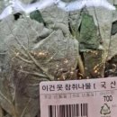 [일상/일상 블로그] 230218-230226 일기