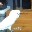 태식농장 이미지