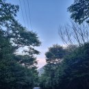 주작산자연휴양림 | 강진 주작산 자연휴양림(숲속의 집, 매화실, 2인실)