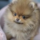 애니멀즈동물병원 이미지
