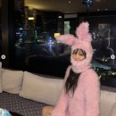 핑크토끼 이미지