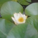 서림농원 이미지