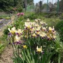 옥주농장 이미지