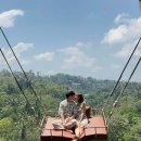 왕궁농장 | 발리 / 우붓 / 우붓 투어 &#34;발리스윙, 폴로매장, 뜨갈랄랑, 루왁커피농장, 우붓왕궁, 우붓시장&#34; 후기