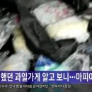 평화과일 이미지