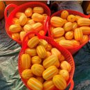 이병훈농장 이미지