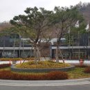 고려대구로병원장례식장