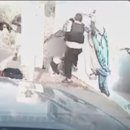 참수농장 이미지