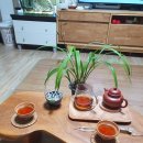 지유명차영종점