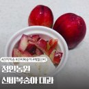 산지직송 신비 정인농원 신비천도복숭아 대과 후기