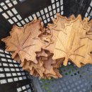 원일초등학교 | 타일 공예 체험 출강(방문, 특강) 수업 후기 (경기도 오산시 원일초등학교 병설유치원)