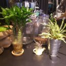 종로-종로-종로-종-136 이미지