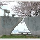 낙동강제방(강서30리벚꽃길) 이미지