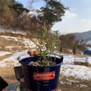 충남 감성 글램핑 ‘파파홈 예산점’ 프라이빗하게 가족캠핑 다녀온 후기(예약부터 구비품목,추천템까지)