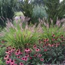 토종 맷돌 호박. 수크령 이미지