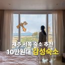 646미터퍼세크 | 제주 서쪽 감성숙소 찾다가 발견한 곳, 646미터퍼세크 후기(내돈내산)